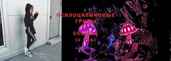 прущие грибы Алексеевка