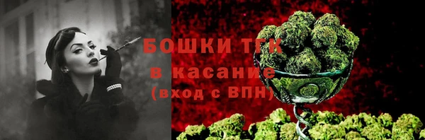 mdma Заводоуковск