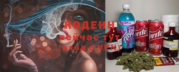 прущие грибы Алексеевка