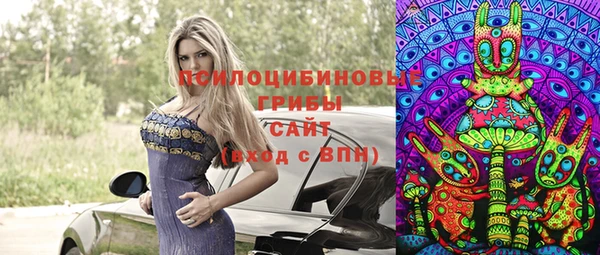 прущие грибы Алексеевка