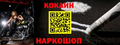 крисы Камышлов