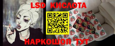 крисы Камышлов