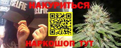 крисы Камышлов
