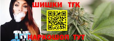 крисы Камышлов