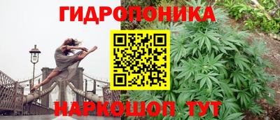 шишки Канаш