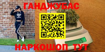 крисы Камышлов