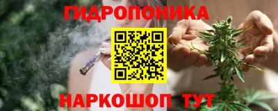 скорость Кандалакша