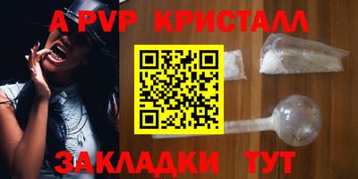 крисы Камышлов