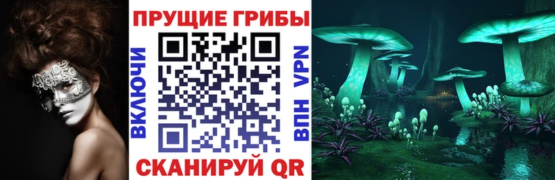Псилоцибиновые грибы мицелий Волхов