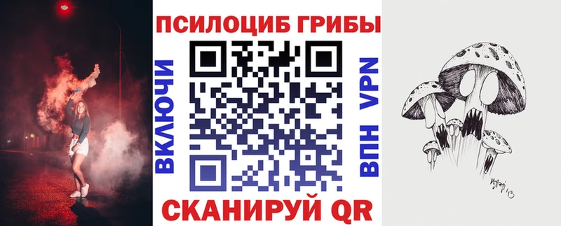 Псилоцибиновые грибы Cubensis  магазин продажи наркотиков  Волхов 
