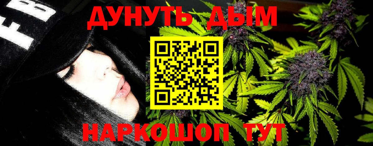 Волхов  Бошки Шишки конопля  Шишки марихуана сатива  Вход с VPN 